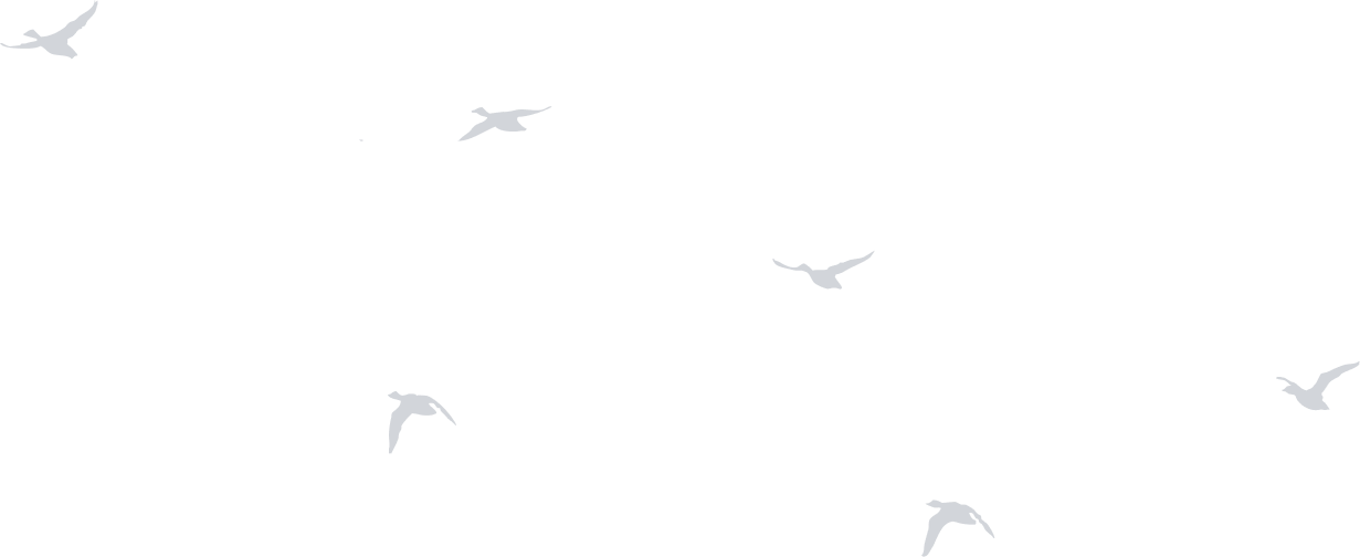home03-bird - 廣錠能源 iBASE ENERGY | 儲能,充電樁,能源解決方案 - 廣錠能源 iBASE ENERGY | 儲能,充電樁,能源解決方案