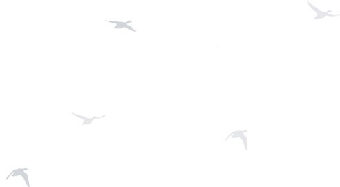 container03-bird - 廣錠能源 iBASE ENERGY | 儲能,充電樁,能源解決方案 - 廣錠能源 iBASE ENERGY | 儲能,充電樁,能源解決方案