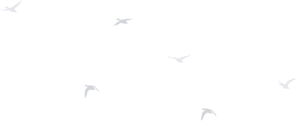 story-bird - 廣錠能源 iBASE ENERGY | 儲能,充電樁,能源解決方案 - 廣錠能源 iBASE ENERGY | 儲能,充電樁,能源解決方案
